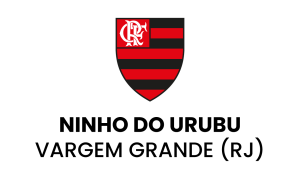 Logo CT Flamengo